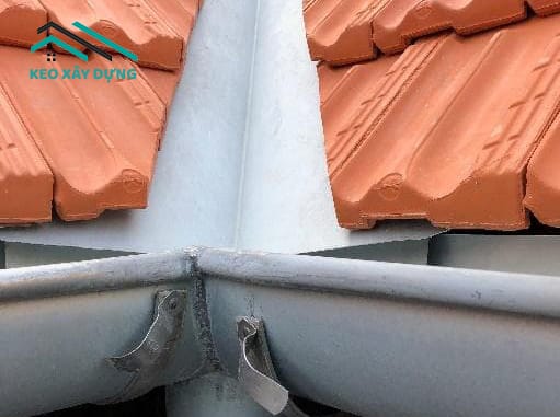 nuoc-thoat-khong-kip-co-the-gay-dot