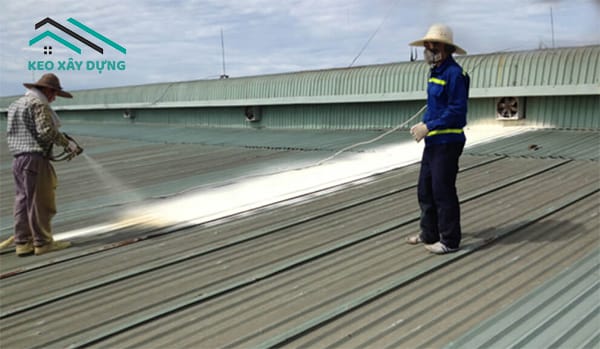 son-phu-mai-ton-de-chong-dot