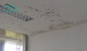 cach-lam-sach-tran-nha-bi-moc