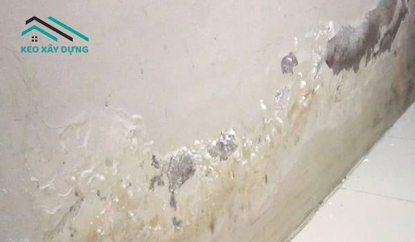 chong-tham-mat-trong