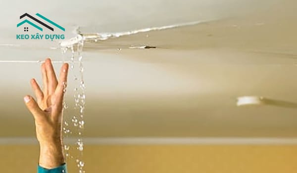 nguyen-nhan-chinh-la-do-bi-tham-dot