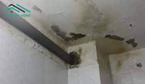 nha-ve-sinh-bi-tham-nuoc-xuong-tang-duoi