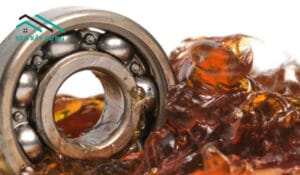 tai-sao-goi-la-mo-bo