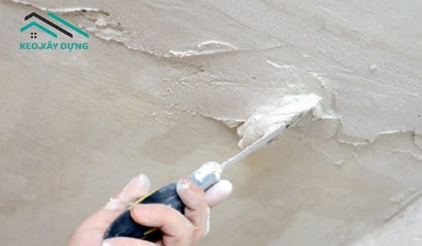 tram-vet-nut-tran-nha