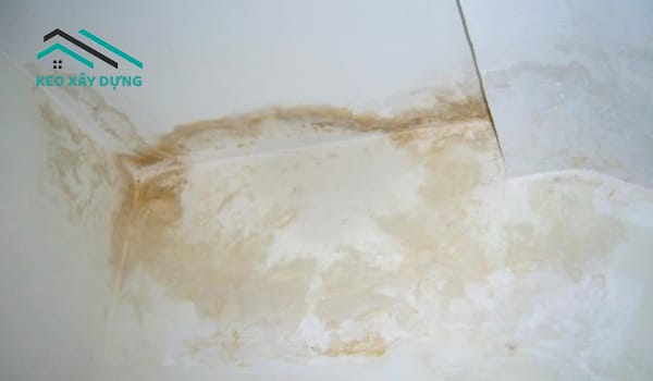 tran-thach-cao-bi-am-do-lap-dat