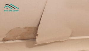 tran-thach-cao-bi-moc