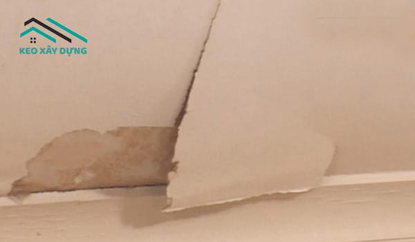 tran-thach-cao-bi-moc