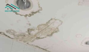 tran-thach-cao-bi-ngam-nuoc-co-sao-khong