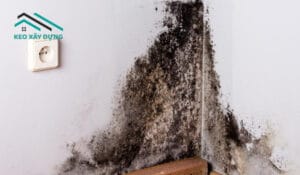 tuong-nha-bi-am-moc-phai-lam-sao