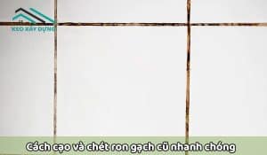 cach-cao-va-chet-ron-gach-cu-nhanh-chong