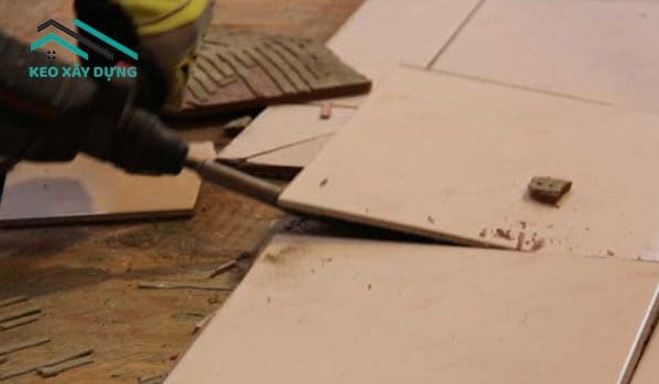 duc-bo-gach-bi-phong-be