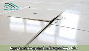 nguyen-nhan-gach-lat-nen-bi-phong