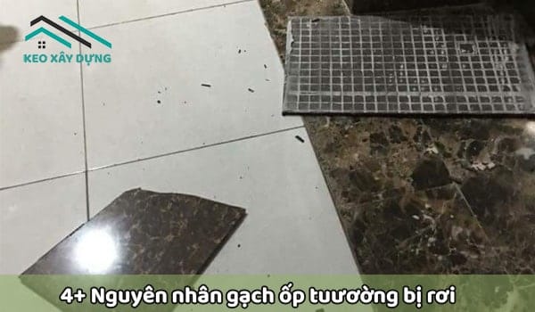 nguyen-nhan-gach-op-tuong-bi-roi