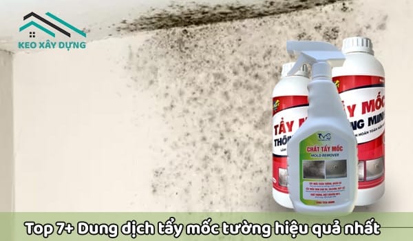 top-cac-dung-dich-tay-moc-tuong-hieu-qua-nhat